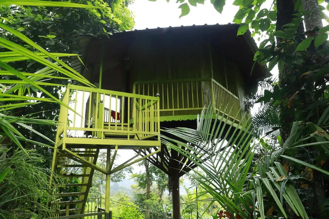 Jems Villa Munnar India